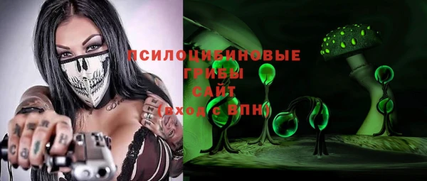 мет Алексин