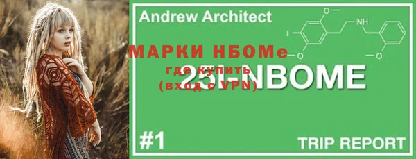 мет Алексин