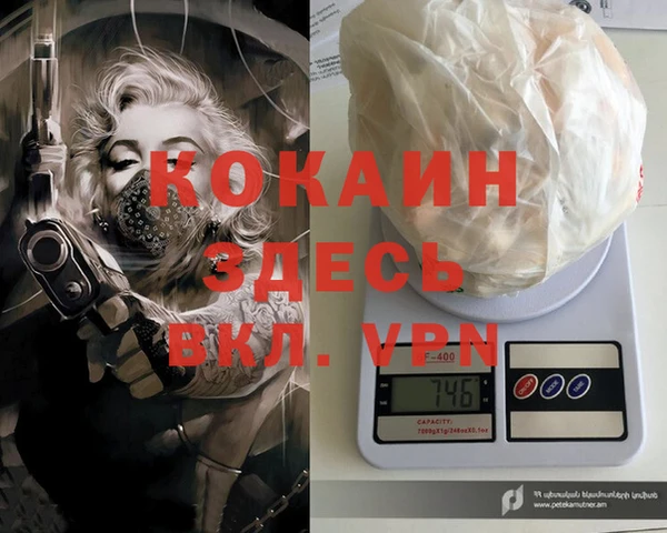 apvp Алзамай