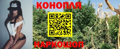 ПСИЛОЦИБИНОВЫЕ ГРИБЫ Ярцево