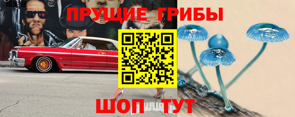 Галлюциногенные грибы MAGIC MUSHROOMS  Алушта  Псилоцибиновые грибы Psilocybine cubensis 