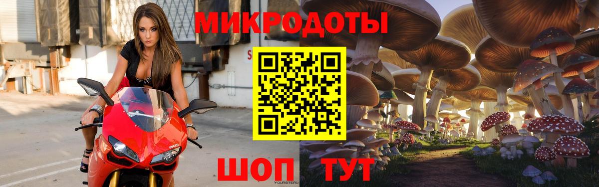 Псилоцибиновые грибы мицелий Алушта