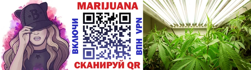 Бошки марихуана семена  Купить  Алушта 